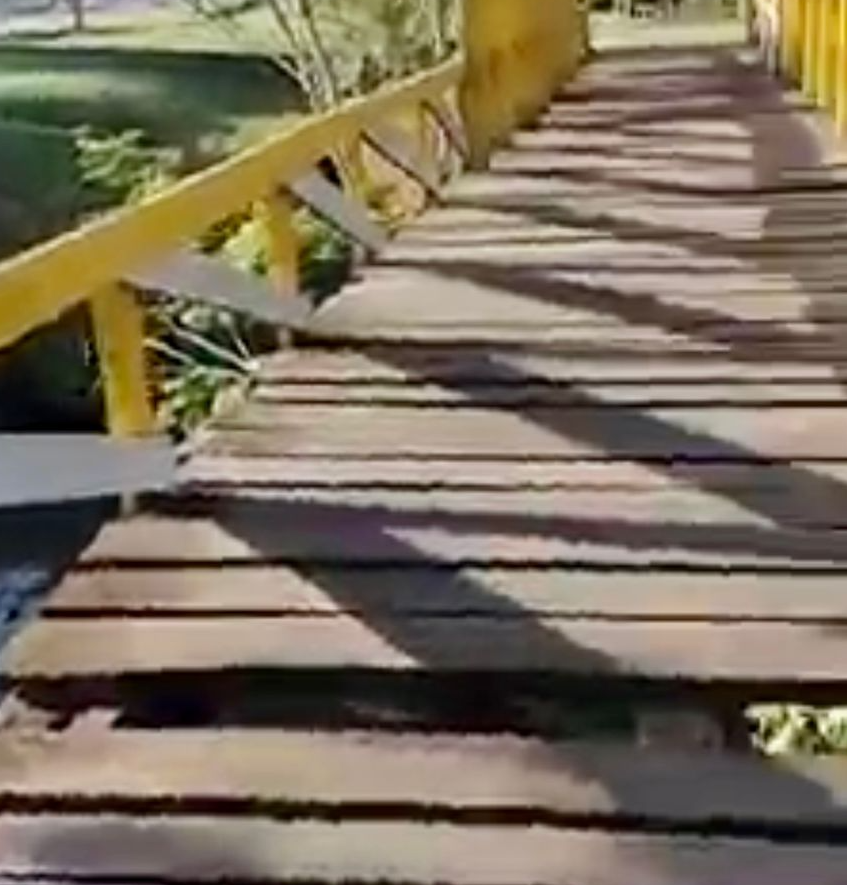 Ponte no Parque Tucumã em péssimas condições põe em risco quem circula no local